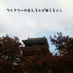 限定御朱印をもらいに行こう！真田神社に紅葉を見に行きました。