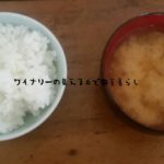 長野のふきでふきみそを作ったよ。3月19日の朝食。