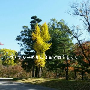 inaka-wineryhills_20171103_02_ueda_castle_kouyou