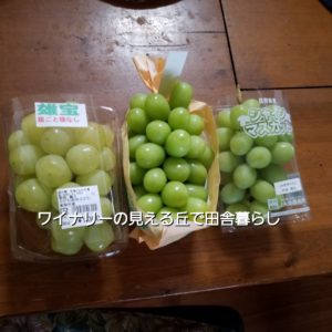 inaka-wineryhills_20190921_grapefes_green01